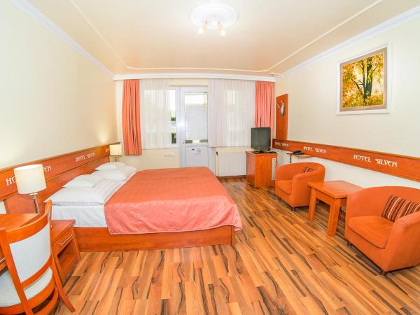 Hotel Silver : photo 1 de la chambre economy twin room with kitchen - bio-comfort building