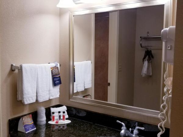 Baymont by Wyndham Indianapolis West : photo 4 de la chambre suite studio lit king-size deluxe - non-fumeurs