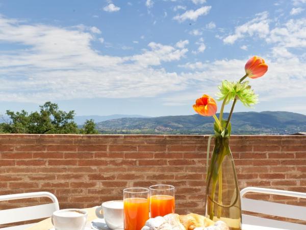 Agriturismo Il Vecchio Mandorlo : photo 2 de la chambre appartement 1 chambre supérieur avec patio