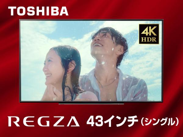 HOTEL LiVEMAX Toyosu-Ekimae : photo 9 de la chambre chambre double avec petit lit double - fumeurs