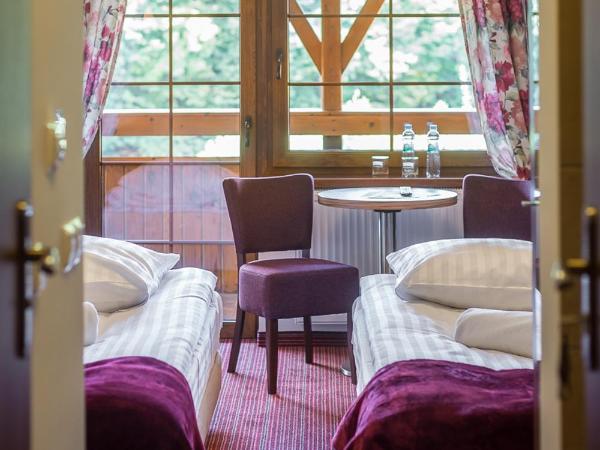 Leśne Patio : photo 8 de la chambre economy twin room with small bathroom