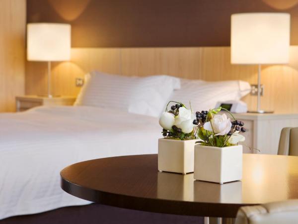 Lakes Hotel : photo 3 de la chambre suite avec baignoire spa