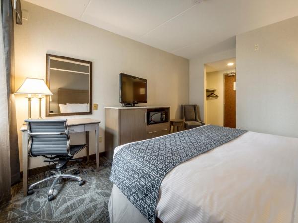 Monte Carlo Inn Airport Suites : photo 4 de la chambre chambre standard lit king-size