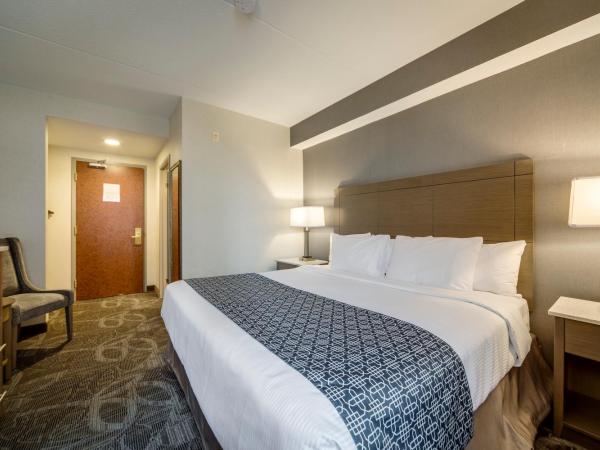 Monte Carlo Inn Airport Suites : photo 5 de la chambre chambre standard lit king-size