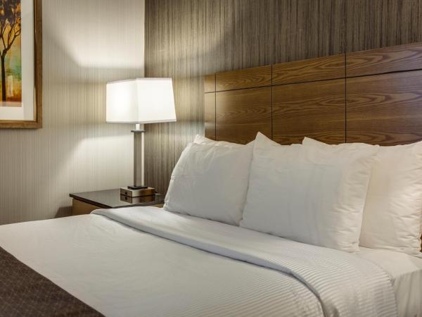 Monte Carlo Inn Airport Suites : photo 3 de la chambre suite lit queen-size avec baignoire à jets puissants