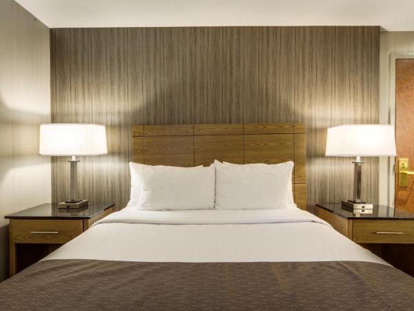 Monte Carlo Inn Airport Suites : photo 5 de la chambre suite lit queen-size avec baignoire à jets puissants