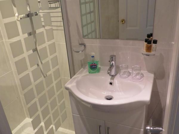 Duthus Lodge Guest House : photo 4 de la chambre chambre lits jumeaux standard avec vue sur jardin