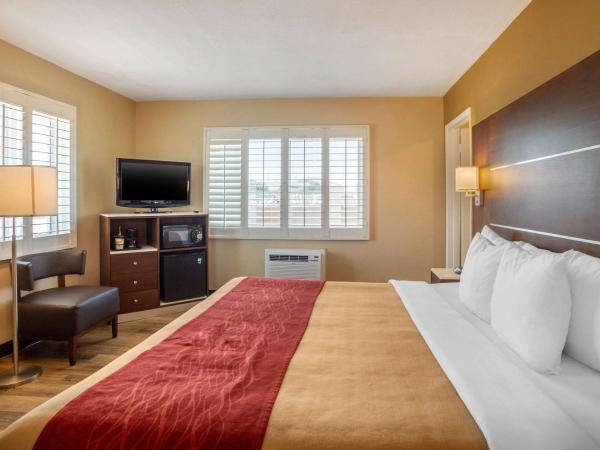 Comfort Inn San Diego Airport At The Harbor : photo 6 de la chambre deluxe room, 1 king bed and bunk bed, non smoking