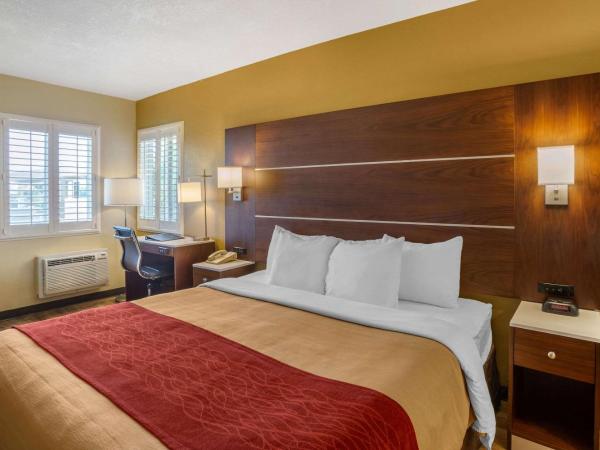 Comfort Inn San Diego Airport At The Harbor : photo 5 de la chambre chambre lit king-size standard - non-fumeurs