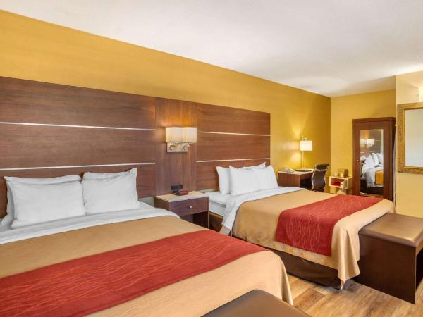 Comfort Inn San Diego Airport At The Harbor : photo 5 de la chambre chambre standard 2 lits queen-size - non-fumeurs