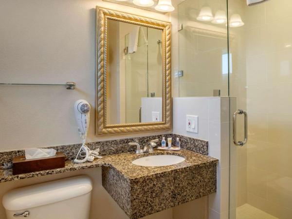 Comfort Inn San Diego Airport At The Harbor : photo 6 de la chambre chambre standard avec 2 lits doubles - non-fumeurs