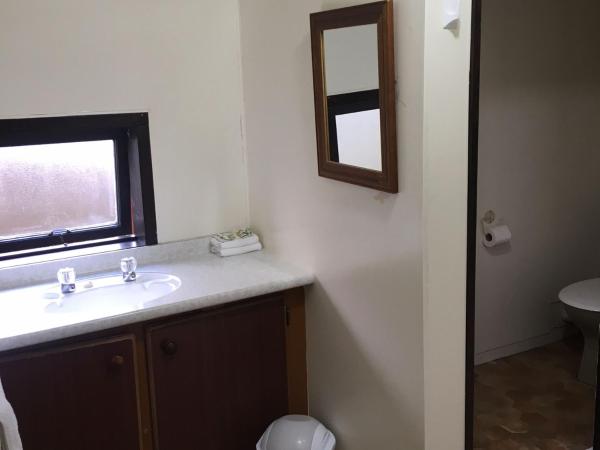 Woodlands Motels And Apartments : photo 7 de la chambre appartement standard