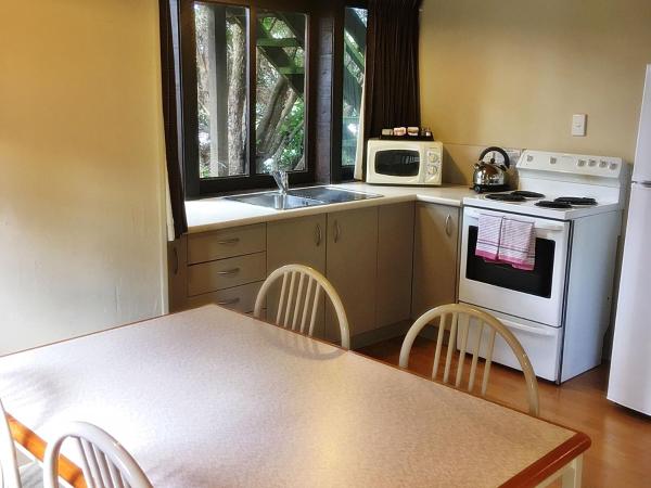 Woodlands Motels And Apartments : photo 4 de la chambre appartement supérieur