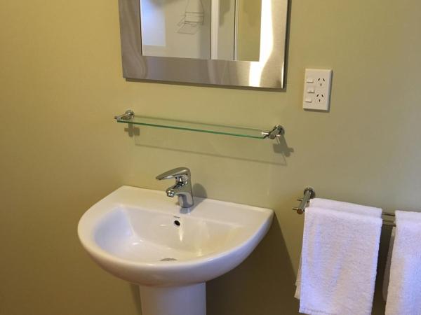 Woodlands Motels And Apartments : photo 8 de la chambre appartement supérieur