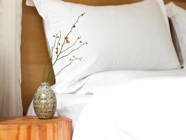 Moonlight Hotel : photo 7 de la chambre chambre supérieure lit queen-size