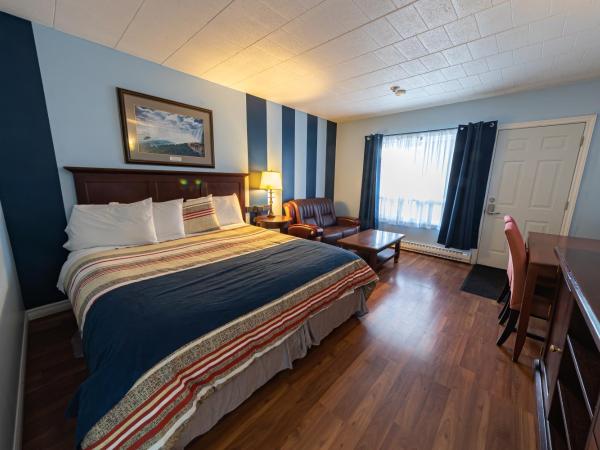 Villager Lodge Niagara Falls : photo 8 de la chambre suite deluxe avec lit king-size