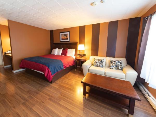 Villager Lodge Niagara Falls : photo 3 de la chambre suite deluxe avec lit king-size