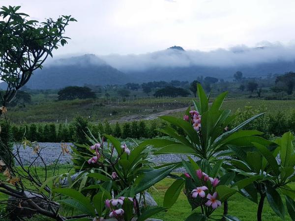 Hua Hin Lae I Aoon : photo 5 de la chambre chambre double - vue sur montagne