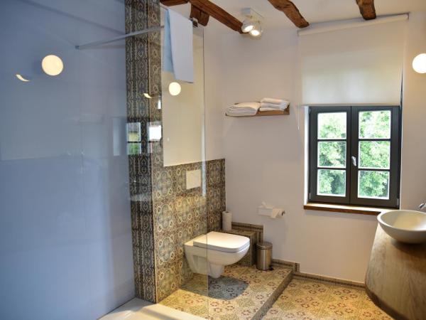 Hotel Schöne Aussicht : photo 5 de la chambre chambre double ou lits jumeaux affaires 