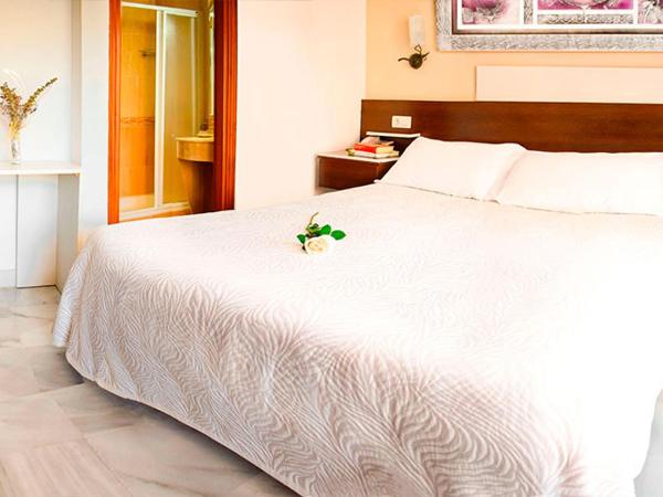 Hotel Albero : photo 6 de la chambre chambre double ou lits jumeaux