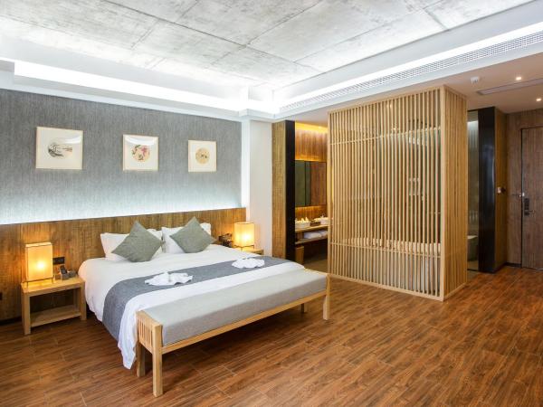 Lin Yin Art Hotel Shanghai(Pudong airport) : photo 2 de la chambre chambre lit queen-size deluxe