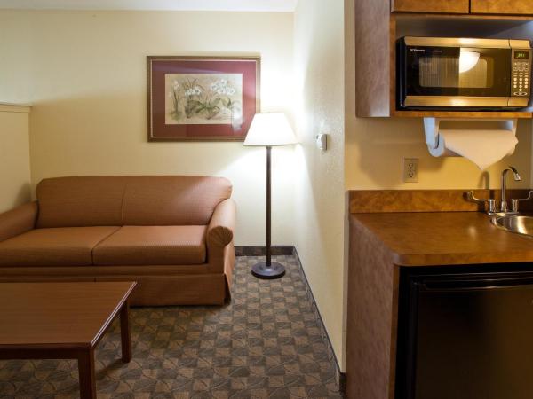 Holiday Inn Express & Suites Austin SW - Sunset Valley, and IHG Hotel : photo 1 de la chambre suite lit queen-size – accessible aux personnes à mobilité réduite