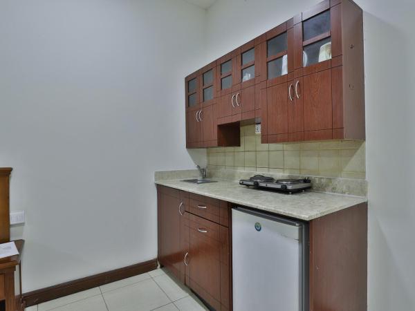 Moon Valley Hotel Apartment - Bur Dubai, Burjuman : photo 2 de la chambre appartement standard