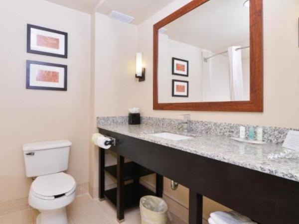 Comfort Suites University - Research Park : photo 5 de la chambre suite lit king-size – non-fumeurs