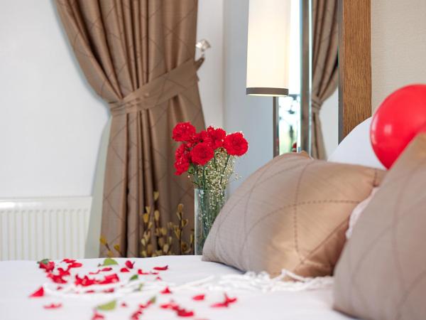 Grand Sagcanlar Hotel : photo 2 de la chambre chambre deluxe - vue sur mer