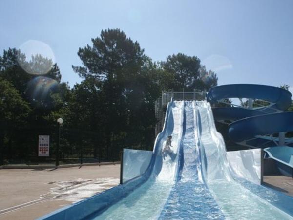 Pyla Chalet et mobilhom 6 personnes Magda : photo 10 de la chambre chalet 2 chambres