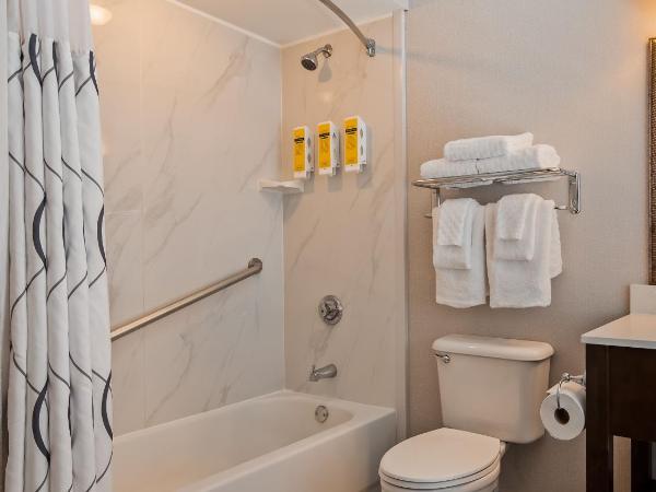 Best Western Plus St. Christopher Hotel : photo 8 de la chambre chambre double avec 2 lits doubles