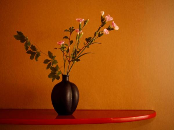 Hotel Gajoen Tokyo : photo 8 de la chambre suite lit king-size japonaise