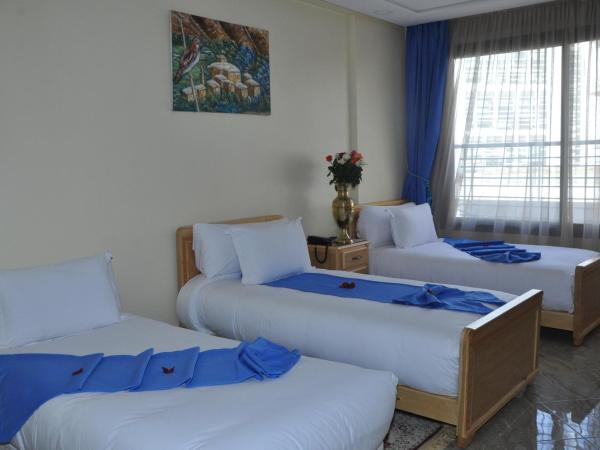 HOTEL DELTA ATLAS : photo 2 de la chambre chambre triple