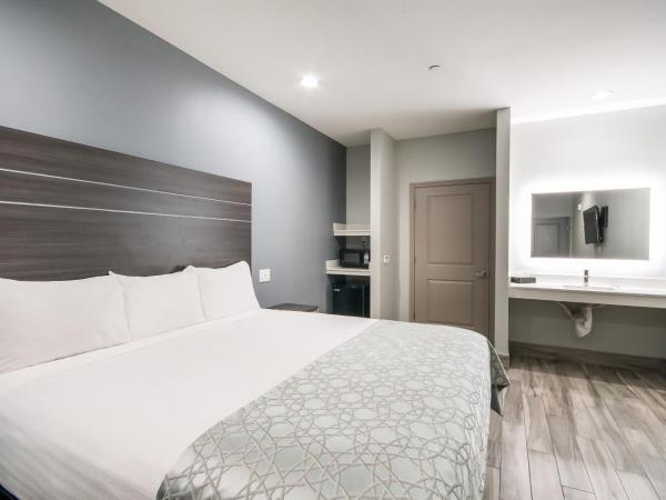 Americas Best Value Inn & Suites Northeast Houston I-610 : photo 5 de la chambre lit king-size