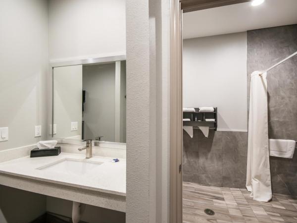 Americas Best Value Inn & Suites Northeast Houston I-610 : photo 3 de la chambre hébergement lit king-size pour personnes à mobilité réduite