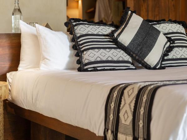 Hotel Ma'xanab Tulum : photo 10 de la chambre suite junior - vue sur jungle