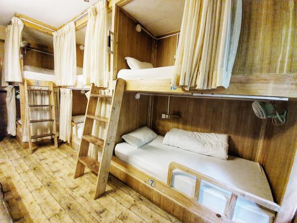 Hotel Forest Lake Backpackers' Hostel : photo 2 de la chambre lit dans dortoir mixte de 6 lits