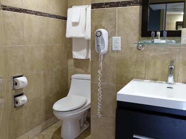 Chateau Louis Hotel & Conference Centre : photo 4 de la chambre chambre supérieure avec 2 lits queen-size