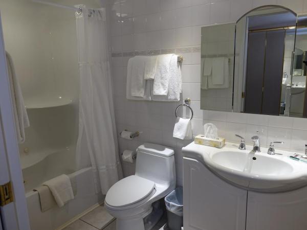 Chateau Louis Hotel & Conference Centre : photo 4 de la chambre chambre familiale