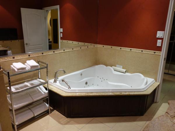 Chateau Louis Hotel & Conference Centre : photo 1 de la chambre chambre lit king-size avec cheminée et baignoire spa