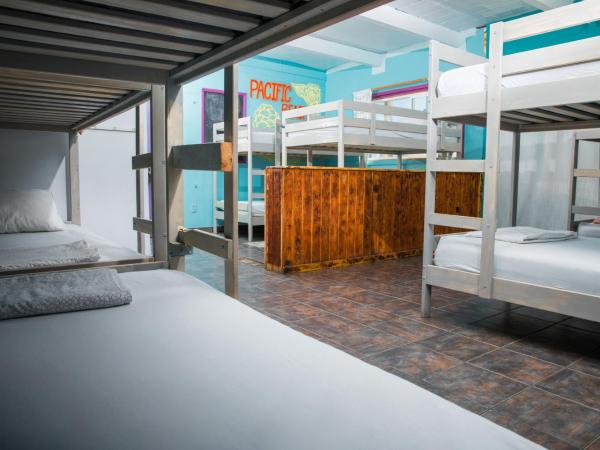 ITH Beach Bungalow Surf Hostel San Diego : photo 3 de la chambre dortoir mixte de 12 lits avec salle de bains privative