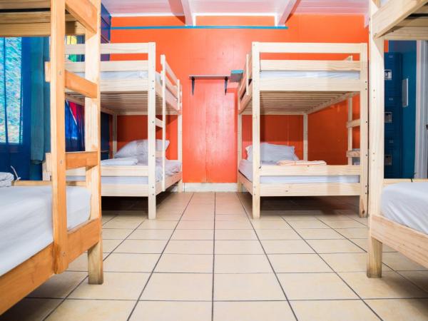 ITH Beach Bungalow Surf Hostel San Diego : photo 7 de la chambre dortoir mixte de 12 lits avec salle de bains privative
