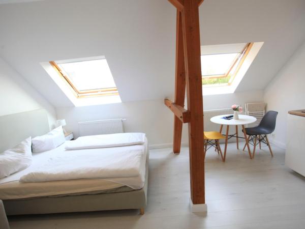 Zollikof Aparts - Sauna & Studioapartments : photo 4 de la chambre standard apartment (without sauna)