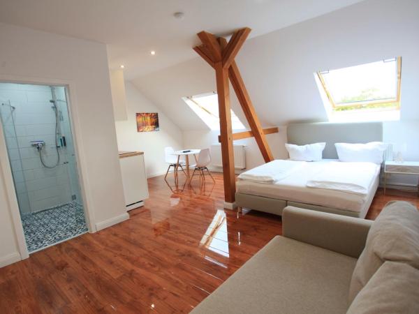 Zollikof Aparts - Sauna & Studioapartments : photo 2 de la chambre standard apartment (without sauna)