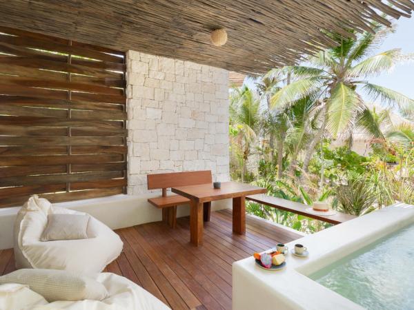 Hotel Ma'xanab Tulum : photo 1 de la chambre suite junior - vue sur jungle