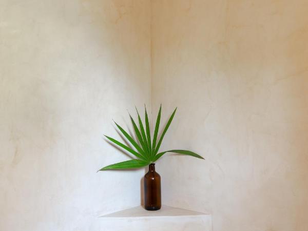 Hotel Ma'xanab Tulum : photo 6 de la chambre suite junior - vue sur jungle