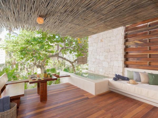 Hotel Ma'xanab Tulum : photo 4 de la chambre suite junior - vue sur jungle