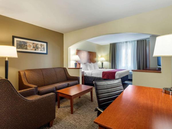 Comfort Suites North Dallas : photo 6 de la chambre suite lit king-size – non-fumeurs