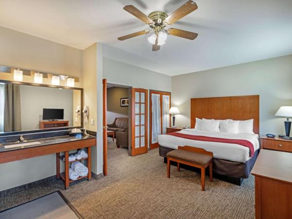 Comfort Suites North Dallas : photo 7 de la chambre suite lit king-size avec canapé-lit - non-fumeurs