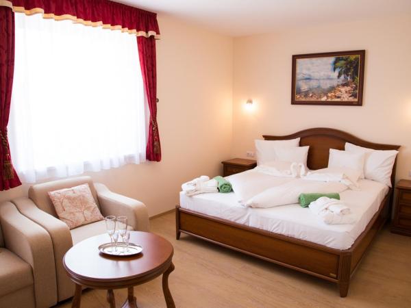 Luxury Hotel Siófok : photo 1 de la chambre chambre double avec terrasse